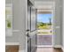 Charming entrance with a wooden door, natural light, and a scenic neighborhood view of a street and pond at 1601 Bourne Xing, Mount Pleasant, SC 29466