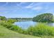 Beautiful water view with lush green foliage and houses in the distance at 1723 Brittlebush Ln, Johns Island, SC 29455