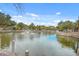Scenic community lake view featuring a fountain, lush landscaping, and pedestrian walkways at 200 River Landing Dr # 307B, Charleston, SC 29492