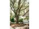 Exterior view of home with mature trees, front porch, and bird bath at 317 Bay St, Walterboro, SC 29488