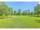 Expansive, well-maintained lawn surrounded by lush trees under a clear blue sky at 326 Turner Ln, Round O, SC 29474