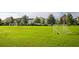 View of a grassy community field with soccer goals and colorful houses in the background at 93 French Garden Cir, Summerville, SC 29486
