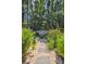 Backyard garden featuring a stone path, lush plants, and a serene, shaded setting at 1350 Water Edge Dr, Charleston, SC 29492
