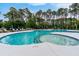 Resort-style pool with zero entry and surrounding mature trees at 1464 Stratton Pl, Mount Pleasant, SC 29466