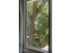 View of outdoor scenery from window at 1515 N Lakeshore Dr, Mount Pleasant, SC 29466