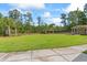 Large, well-maintained backyard with lush lawn, palms, and a workshop building at 1551 Hutton Pl, Charleston, SC 29407