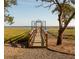 Picturesque wooden walkway leading to a tranquil waterfront dock, surrounded by natural beauty at 3221 Johnstowne St, Johns Island, SC 29455