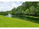 Scenic pond view with a fountain surrounded by lush greenery and mature trees at 3616 Bagley Dr, Mount Pleasant, SC 29466