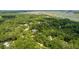 Expansive aerial shot of a community with abundant trees and a river in the distance, offering tranquility at 441 Elfes Field Ln, Charleston, SC 29492