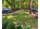 Expansive backyard featuring a lush lawn, mature trees, and ample space for outdoor activities at 441 Elfes Field Ln, Charleston, SC 29492