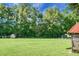 Expansive backyard showcasing well-manicured lawn and beautiful tree line, offering a serene and private outdoor space at 4428 Maple Ridge Rd, Walterboro, SC 29488