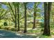 Landscaped front yard with mature trees and hedges at 4428 Maple Ridge Rd, Walterboro, SC 29488