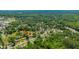 Aerial shot of homes surrounded by lush trees, offering a serene, neighborhood atmosphere at 565 Estates Dr, Walterboro, SC 29488