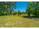 Spacious backyard with green grass and mature trees, perfect for outdoor activities at 565 Estates Dr, Walterboro, SC 29488