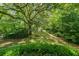Expansive backyard with lush greenery, mature trees, and a glimpse of the home in the distance at 6 Sayle Rd, Charleston, SC 29407