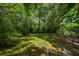 Lush backyard view from an elevated deck, showcasing the mature trees and green lawn at 6 Sayle Rd, Charleston, SC 29407
