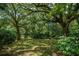 Serene backyard featuring mature trees, lush greenery, and dappled sunlight at 6 Sayle Rd, Charleston, SC 29407