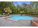 Outdoor community pool area with palm trees and lounge chairs for relaxing at 700 Daniel Ellis Dr # 5103, James Island, SC 29412