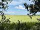 Scenic view of a coastal marsh framed by Spanish moss-draped trees at 700 Daniel Ellis Dr # 5103, James Island, SC 29412