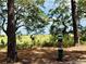 Lush field view marked by trees and a pet waste station at 700 Daniel Ellis Dr # 5103, James Island, SC 29412