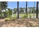 Pond with trees and green foliage on a sunny day at 9016 Greenbriar Dr, Summerville, SC 29485