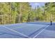 Bright blue tennis court surrounded by fencing, set amongst mature trees and lush greenery at 9016 Greenbriar Dr, Summerville, SC 29485