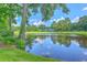 Picturesque view of a serene pond surrounded by lush greenery and mature trees at 109 Waveney Cir, Goose Creek, SC 29445