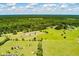 Aerial view of the property featuring a spacious layout, highlighting the home and surrounding landscape with approximate boundary lines at 1111 Sandy Springs Circle, Walterboro, SC 29488