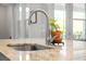 Up-close detail of a kitchen sink with a plant, granite counter, and views to the outdoors at 121 Warbler Way, Summerville, SC 29483