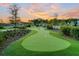 Artificial turf putting green with landscaping, ready for some outdoor fun at sunset at 1213 Locals St, Summerville, SC 29485