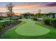 Artificial turf putting green with landscaping, ready for some outdoor fun at sunset at 1213 Locals St, Summerville, SC 29485