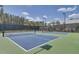 Well-maintained community pickleball courts offering outdoor recreation at 129 Schooner Bend Ave, Summerville, SC 29486