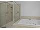 Bright bathroom features a tiled shower and a luxurious soaking tub at 132 Fresh Meadow Ln, Mount Pleasant, SC 29466