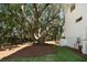Large backyard with mature trees, black fence, and manicured lawn at 14 55Th Ave, Isle of Palms, SC 29451