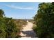 Path leading to the beach, surrounded by lush vegetation at 14 55Th Ave, Isle of Palms, SC 29451
