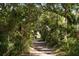Scenic view of a nature trail surrounded by lush trees and greenery at 14 55Th Ave, Isle of Palms, SC 29451