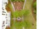 An aerial perspective showing a playground, fire pit, and pool; amenities for community members to gather and enjoy at 160 Greenbelt Ct, Summerville, SC 29485