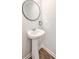 Bathroom features a pedestal sink, round mirror, and wood-look floors at 166 Rosefield Ct, Summerville, SC 29485