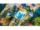 Aerial view of a lovely community pool with mature landscaping and plenty of seating areas at 2036 Kings Gate Ln, Mount Pleasant, SC 29466