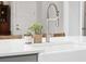 Close-up of kitchen island with farmhouse sink, stainless steel faucet, and decorative plants at 2313 Bucktail Ct, Mount Pleasant, SC 29466