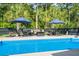 Inviting backyard pool area with lounge seating, lush palm trees, and tranquil backyard setting at 2331 Brinkley Rd, Johns Island, SC 29455