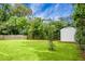 Spacious backyard showcasing lush green grass, mature trees, and a storage shed at 2456 Lantern St, Charleston, SC 29414