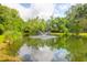 Scenic pond with fountain, natural backdrop, and lots of wildlife at 2494 Cape Rd, Johns Island, SC 29455