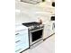 Close-up of the gas range and modern appliances in this spacious and beautifully designed kitchen at 30 Nats Ct, Charleston, SC 29403