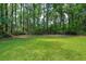 Lush green backyard surrounded by trees provides a private outdoor retreat at 338 Mcclellan Ave, McClellanville, SC 29458