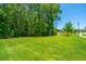 Large, well-manicured backyard with mature trees, ideal for outdoor gatherings and leisure at 3745 Sawmill Ct, Mount Pleasant, SC 29429
