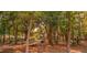 An outdoor common area for residents to enjoy is surrounded by beautiful mature trees at 400 Bucksley Ln # 301, Charleston, SC 29492