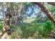 Scenic marsh view framed by lush trees with Spanish moss, creating a serene and natural setting at 700 Daniel Ellis Dr # 3108, Charleston, SC 29412