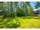 Private backyard with lush green lawn and mature trees offering shade and privacy at 704 Kilarney Rd, Summerville, SC 29483