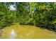 The backyard has a water view, with plenty of shade provided by the numerous large trees at 734 Waterloo St, Charleston, SC 29412